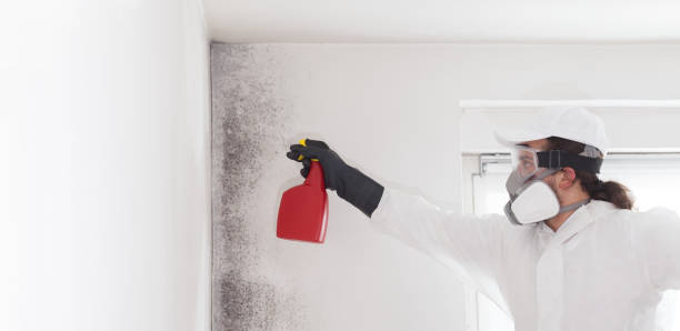 Best Bathroom Mold Remediation in Saratoga, WY