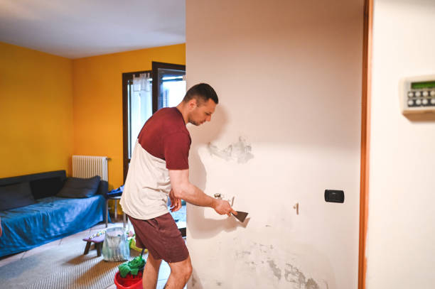 Best Industrial Mold Remediation in Saratoga, WY